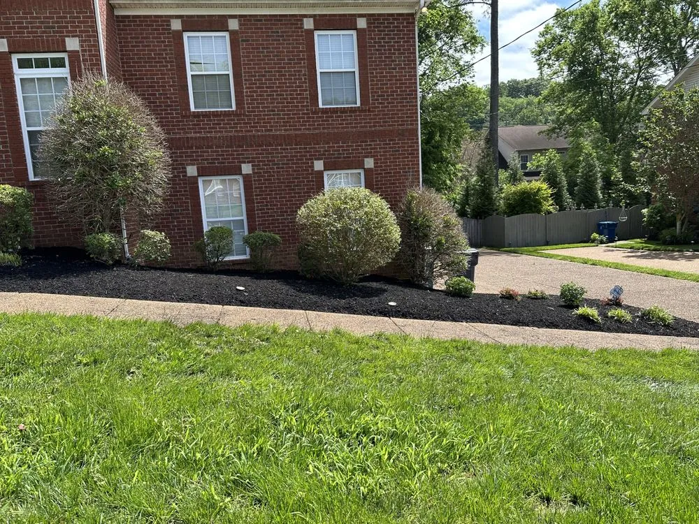 Affordable lawn care service experts serving Murfreesboro, TN - T & T Earthcare