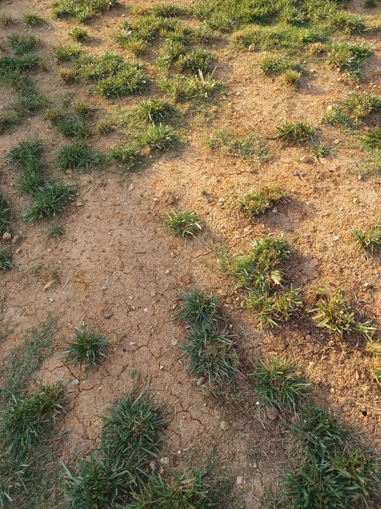 Reliable garden landscaping in Murfreesboro, TN by T & T Earthcare