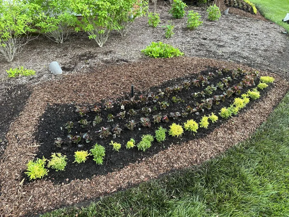 Expert garden landscaping experts serving Murfreesboro, TN - T & T Earthcare