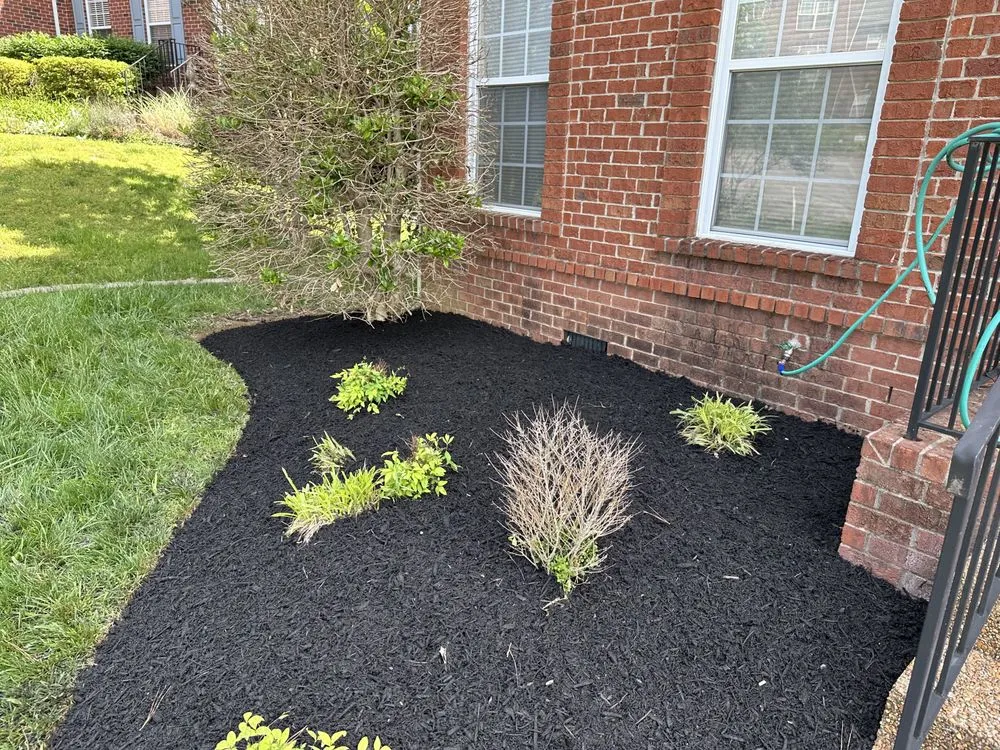 Trusted landscaping services experts serving Murfreesboro, TN - T & T Earthcare
