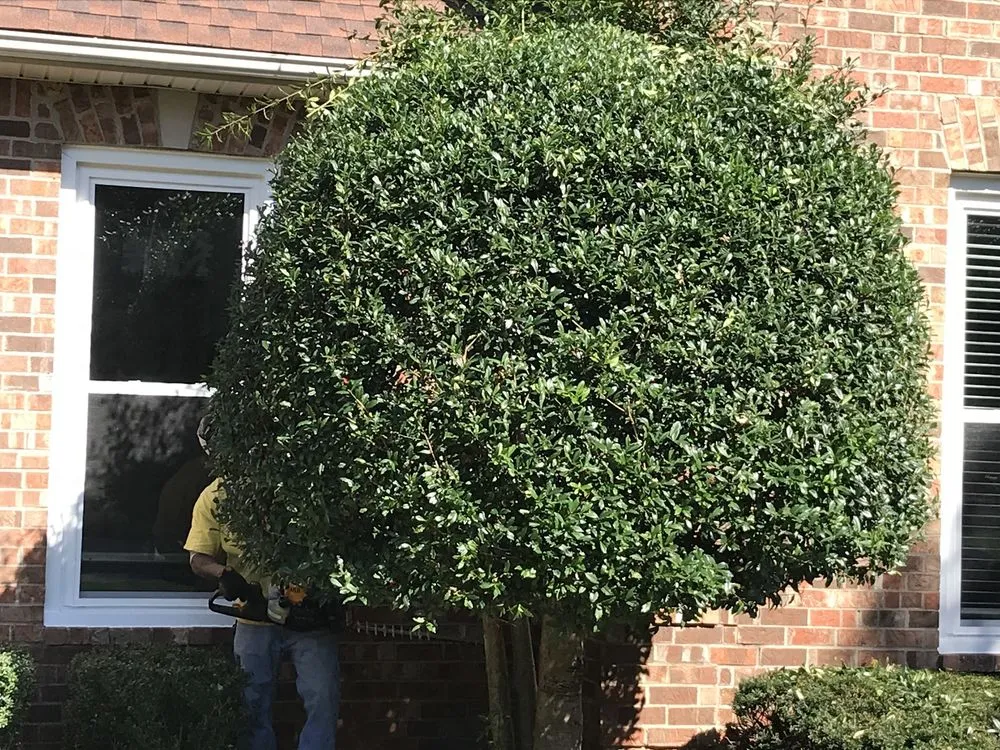 Affordable lawn mowing service in Murfreesboro, TN by T & T Earthcare