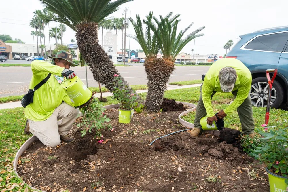 Expert yard maintenance in Edinburg, TX by T & T