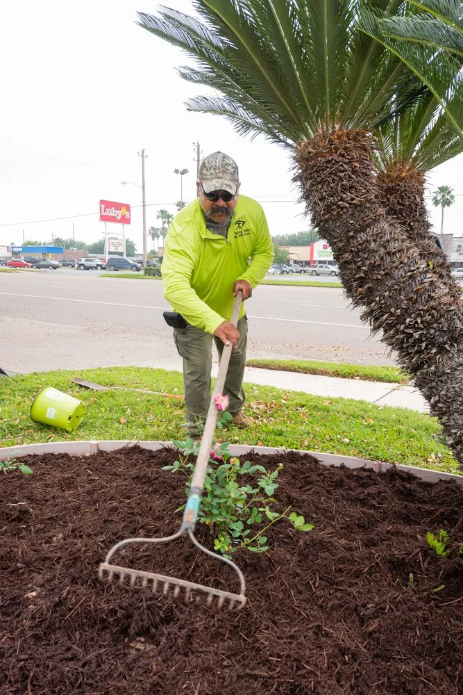 Affordable yard cleanup service in Edinburg, TX by T & T