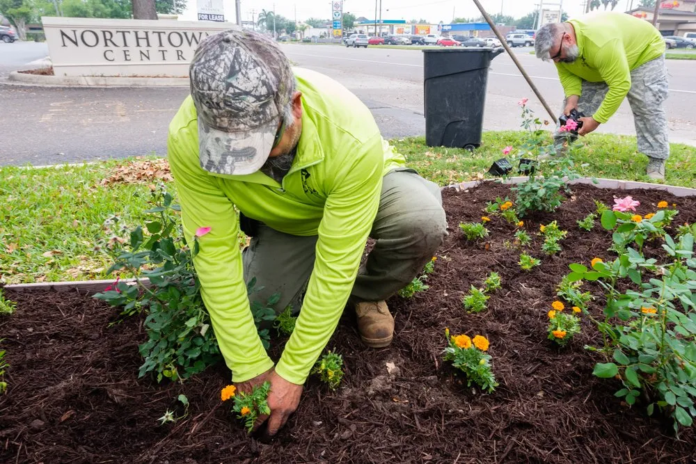 Affordable lawn care service experts serving Edinburg, TX - T & T