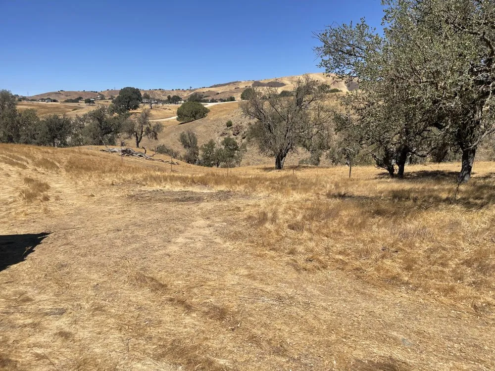 Local yard cleanup service with custom design in Hollister, CA by T & T Junk Removal & Yard Cleanups