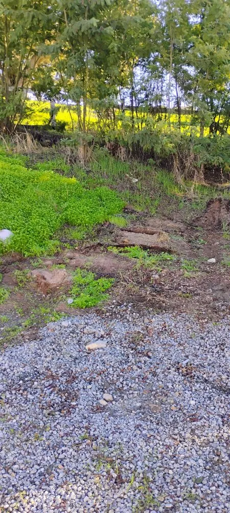 Expert landscaping services in Hollister, CA - T & T Junk Removal & Yard Cleanups