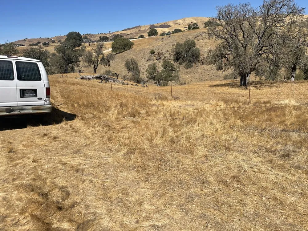 Expert garden landscaping in Hollister, CA - T & T Junk Removal & Yard Cleanups