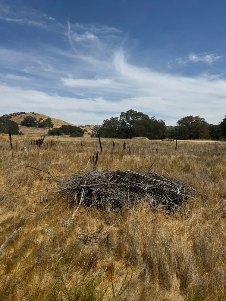 Professional outdoor landscaping with custom design across Hollister, CA - T & T Junk Removal & Yard Cleanups