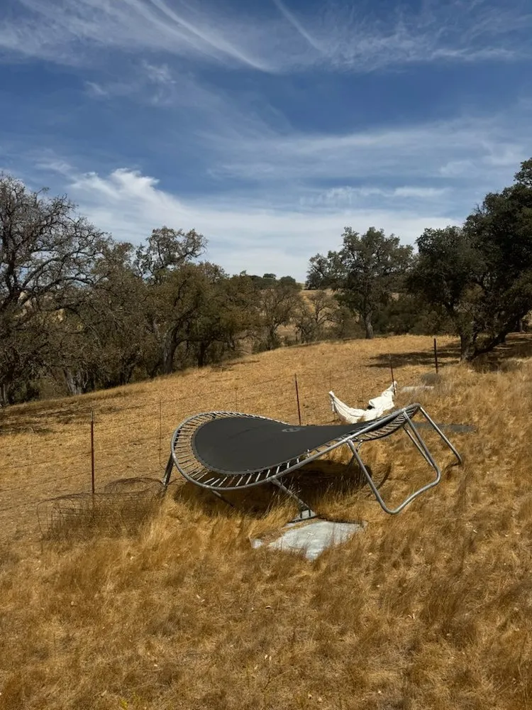 Professional garden landscaping in Hollister, CA - T & T Junk Removal & Yard Cleanups