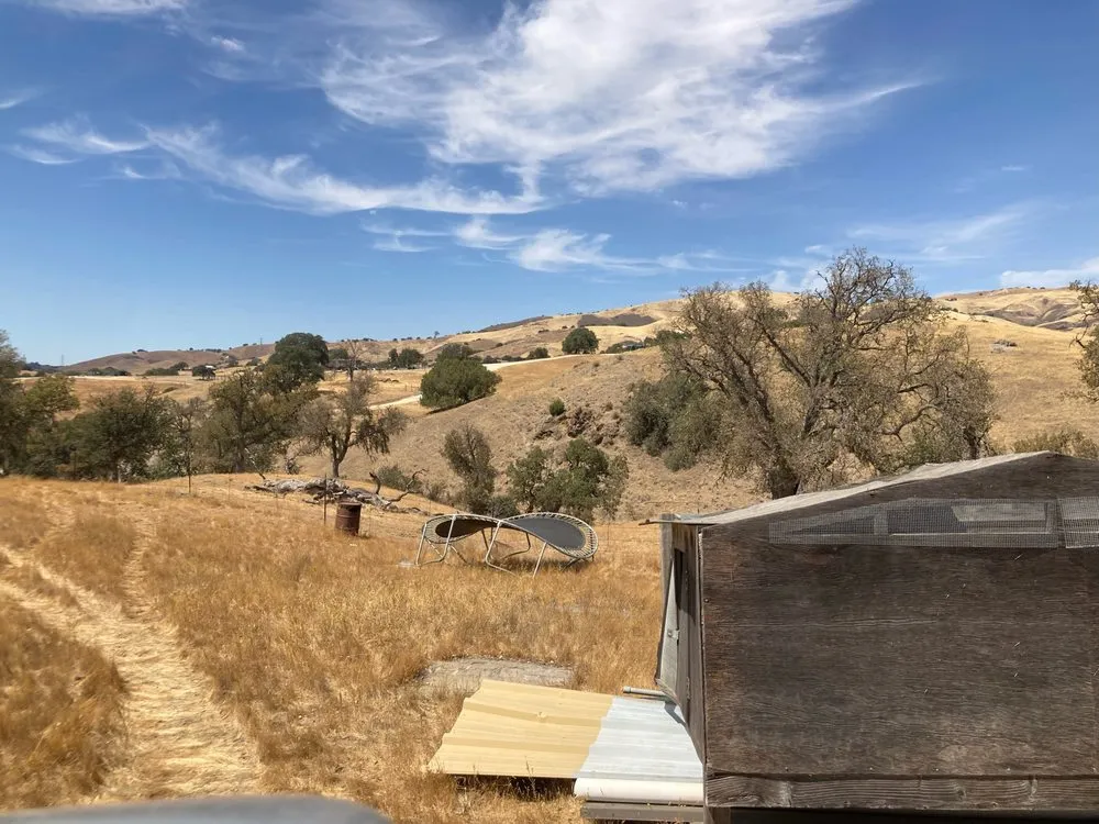 Top-rated landscaping services in Hollister, CA - T & T Junk Removal & Yard Cleanups