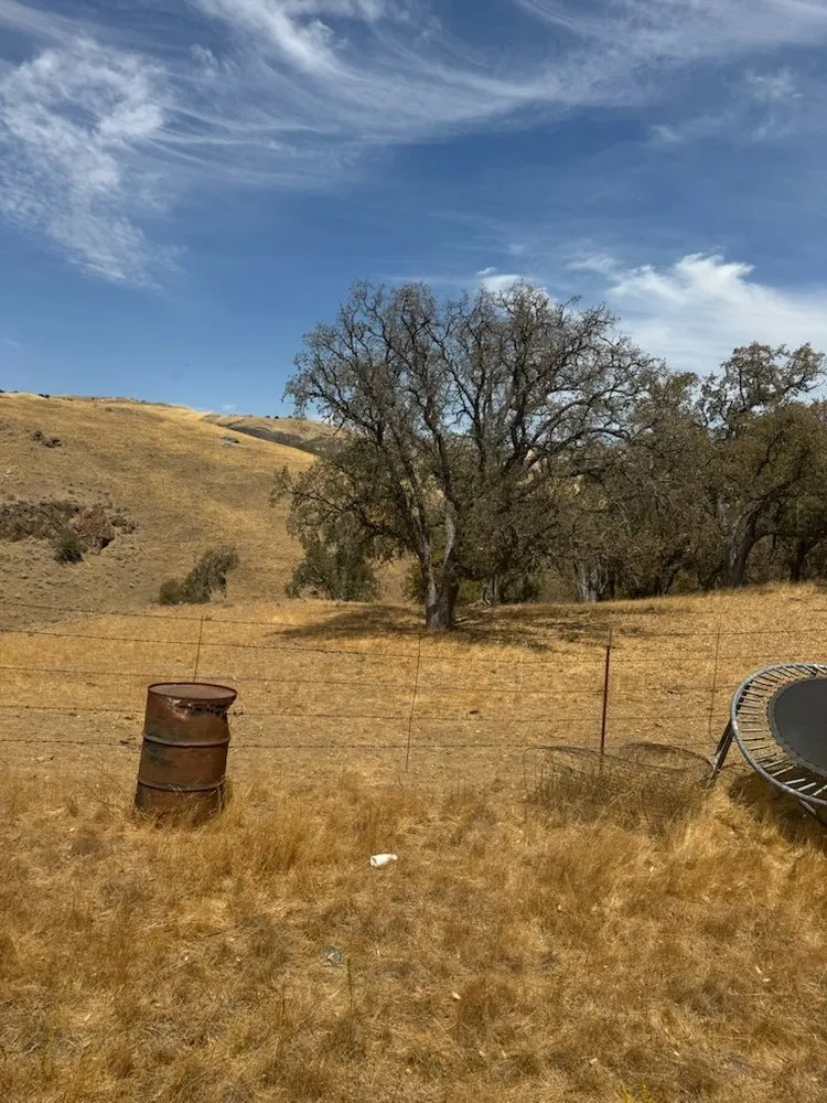 Expert lawn care service in Hollister, CA - T & T Junk Removal & Yard Cleanups