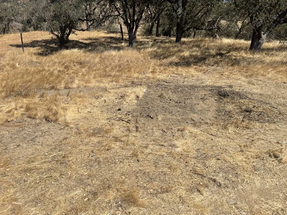 Affordable lawn mowing service in Hollister, CA by T & T Junk Removal & Yard Cleanups