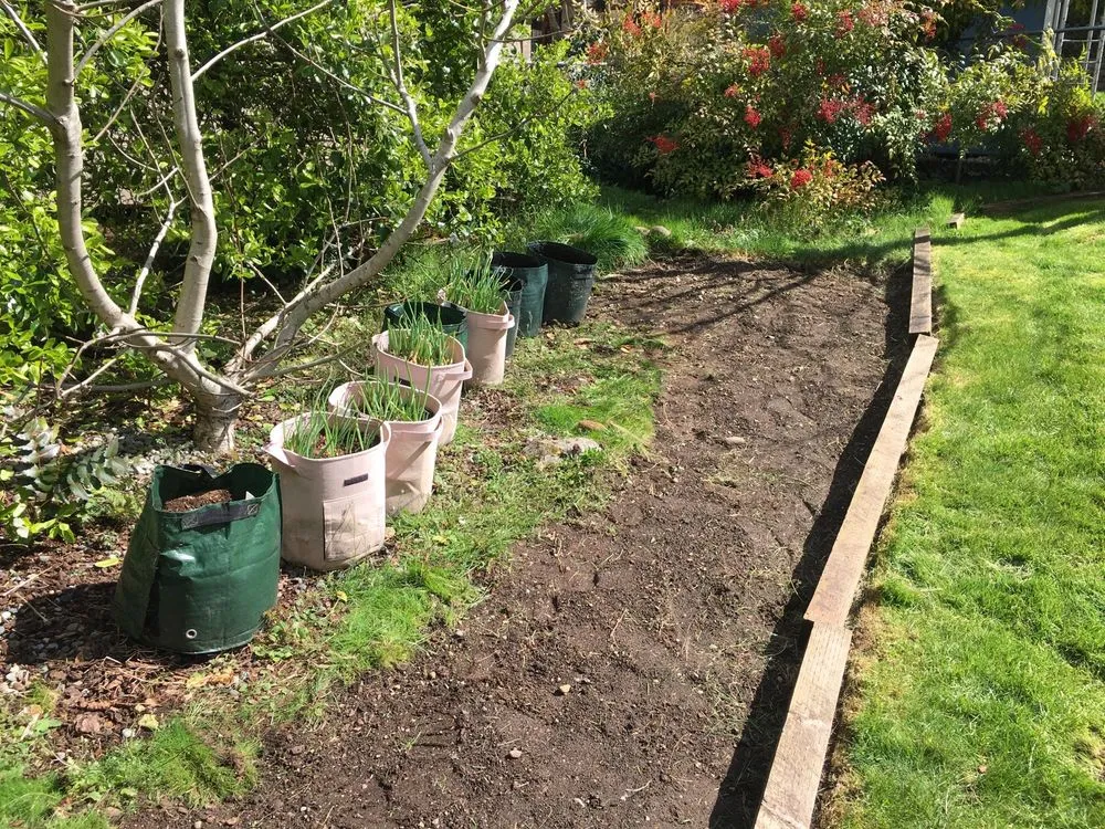 Top-rated residential landscaping experts serving Auburn, WA - T & T Landscape