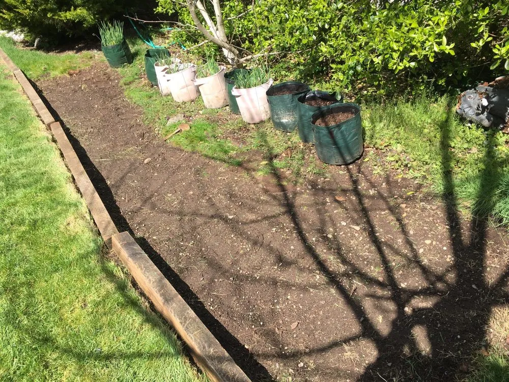 Affordable yard maintenance for year-round maintenance across Auburn, WA - T & T Landscape