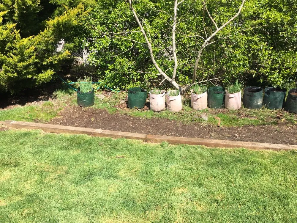 Reliable landscape installation in Auburn, WA by T & T Landscape