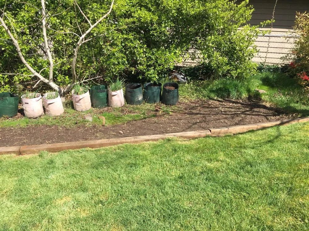 Affordable landscape installation in Auburn, WA by T & T Landscape
