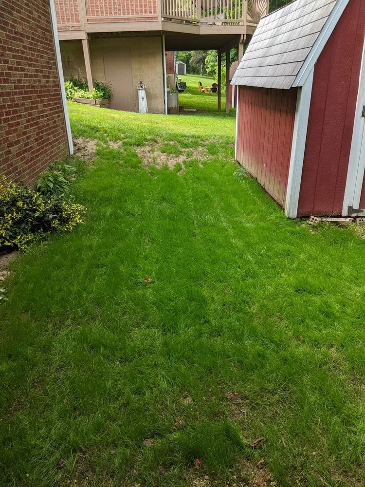 Affordable residential landscaping for beautiful yards across Coraopolis, PA - T & T Landscaping