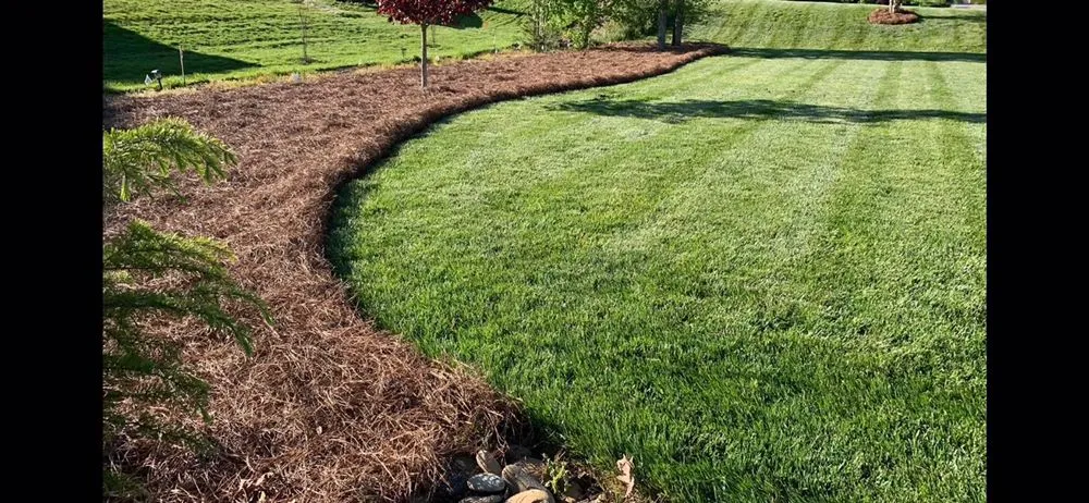 Affordable yard maintenance experts serving Knightdale, NC - T & T Landscaping