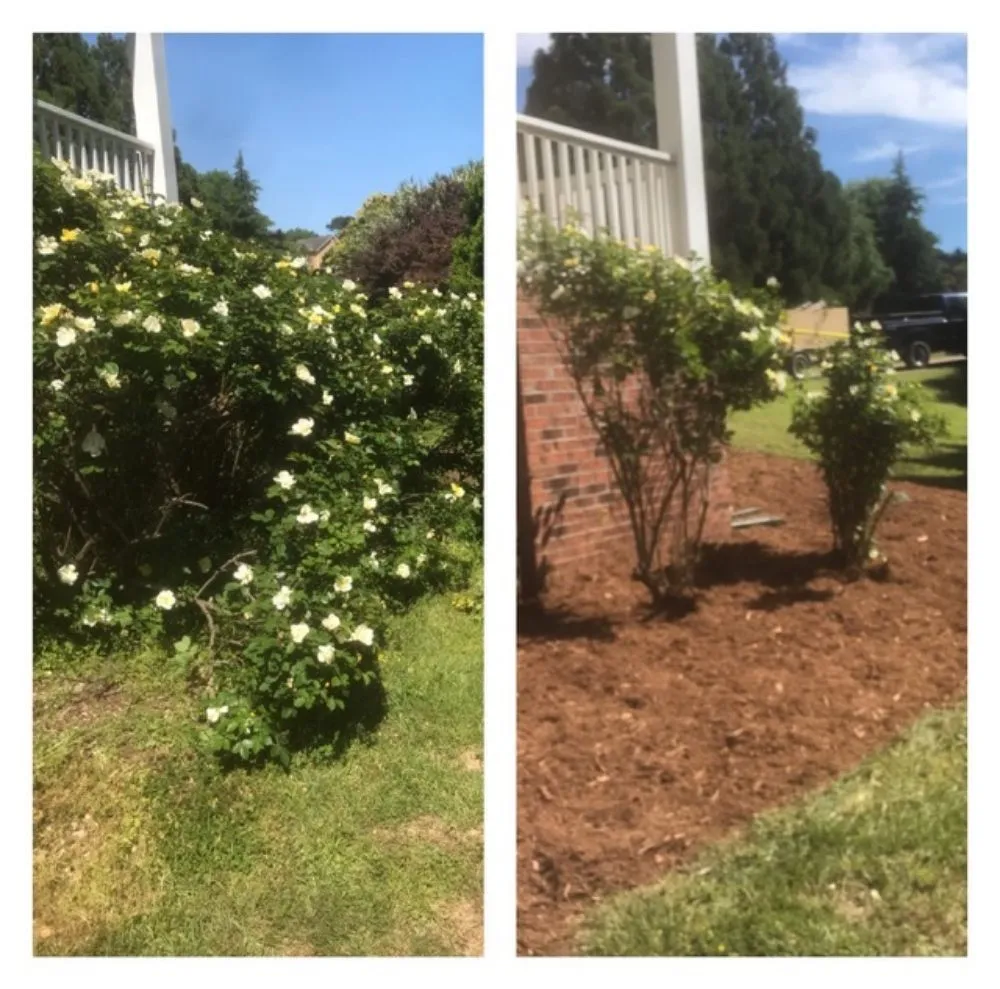 Local outdoor landscaping in Knightdale, NC by T & T Landscaping