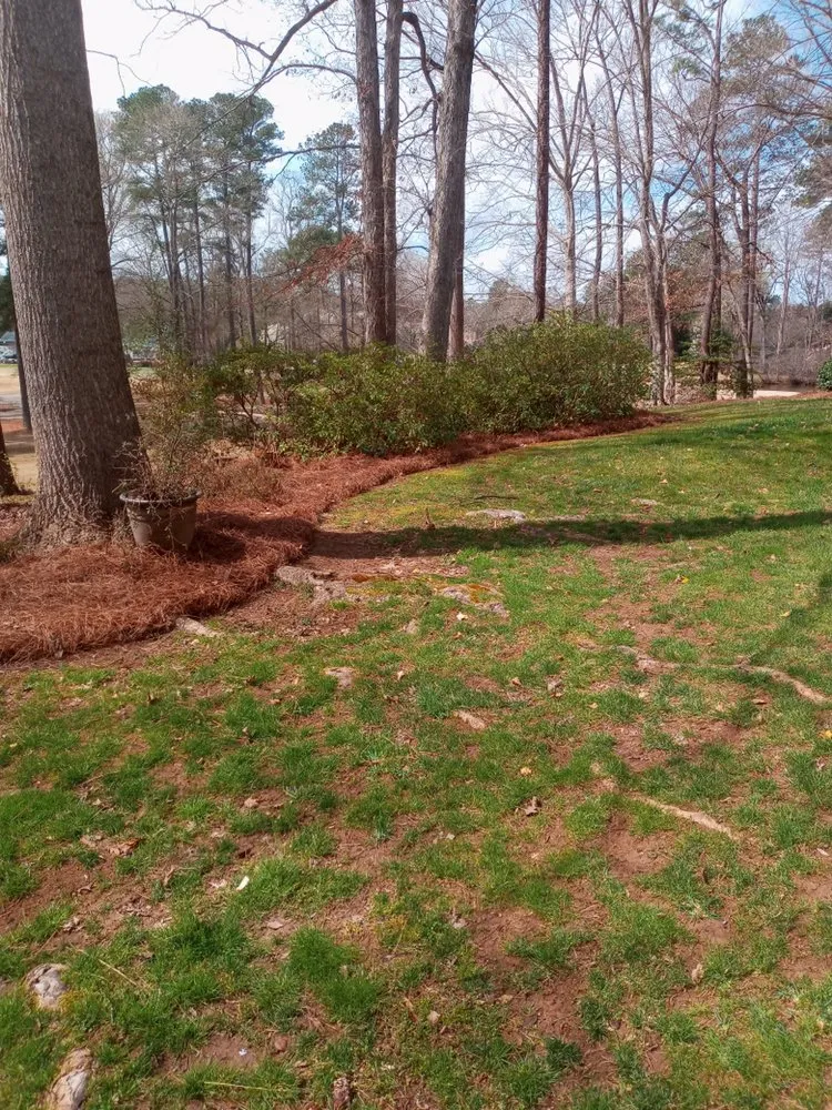 Reliable outdoor landscaping near you in Knightdale, NC by T & T Landscaping