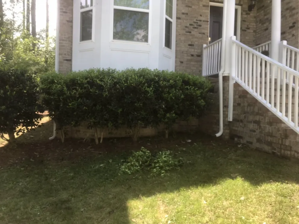 Local landscape design in Knightdale, NC - T & T Landscaping