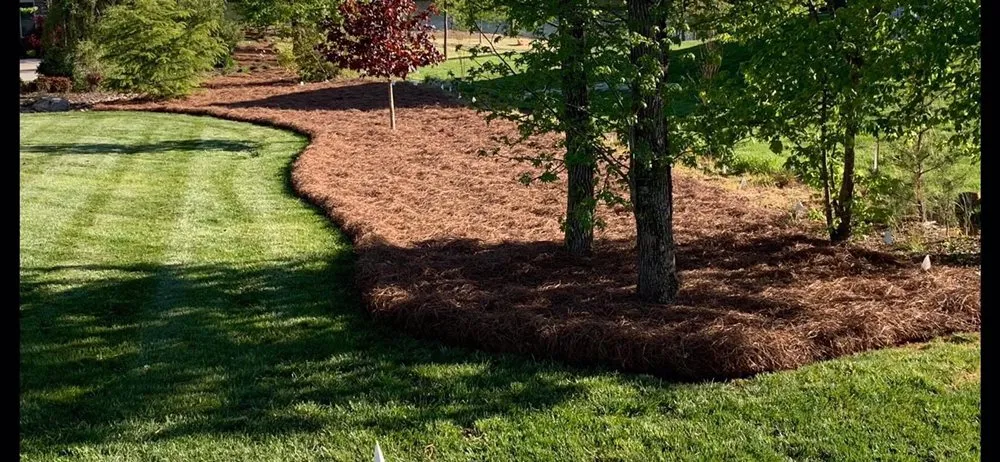 Trusted residential landscaping for residential properties in Knightdale, NC by T & T Landscaping