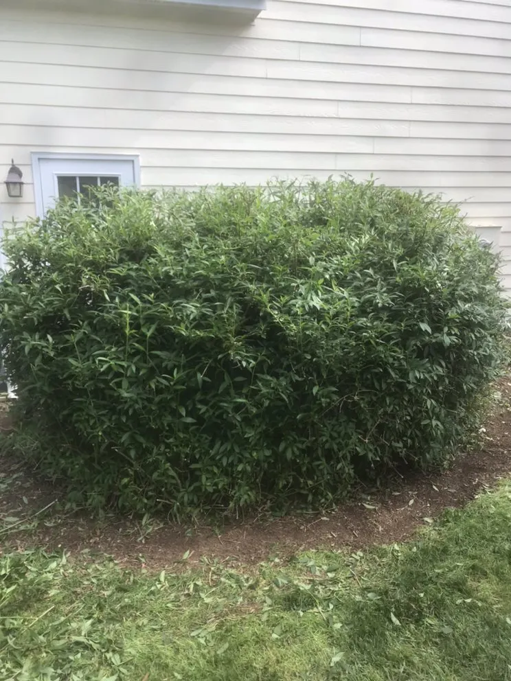 Reliable outdoor landscaping for outdoor upgrades in Knightdale, NC by T & T Landscaping