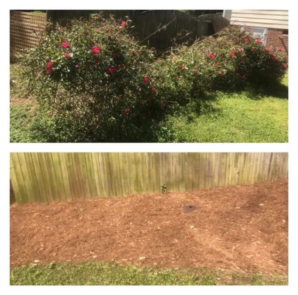 Local residential landscaping in Knightdale, NC by T & T Landscaping