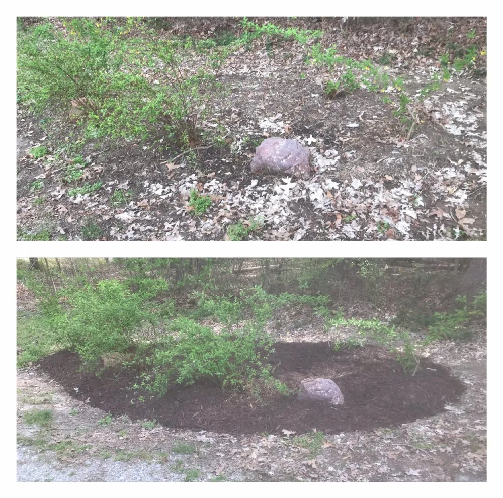 Trusted landscaping services in Knightdale, NC - T & T Landscaping