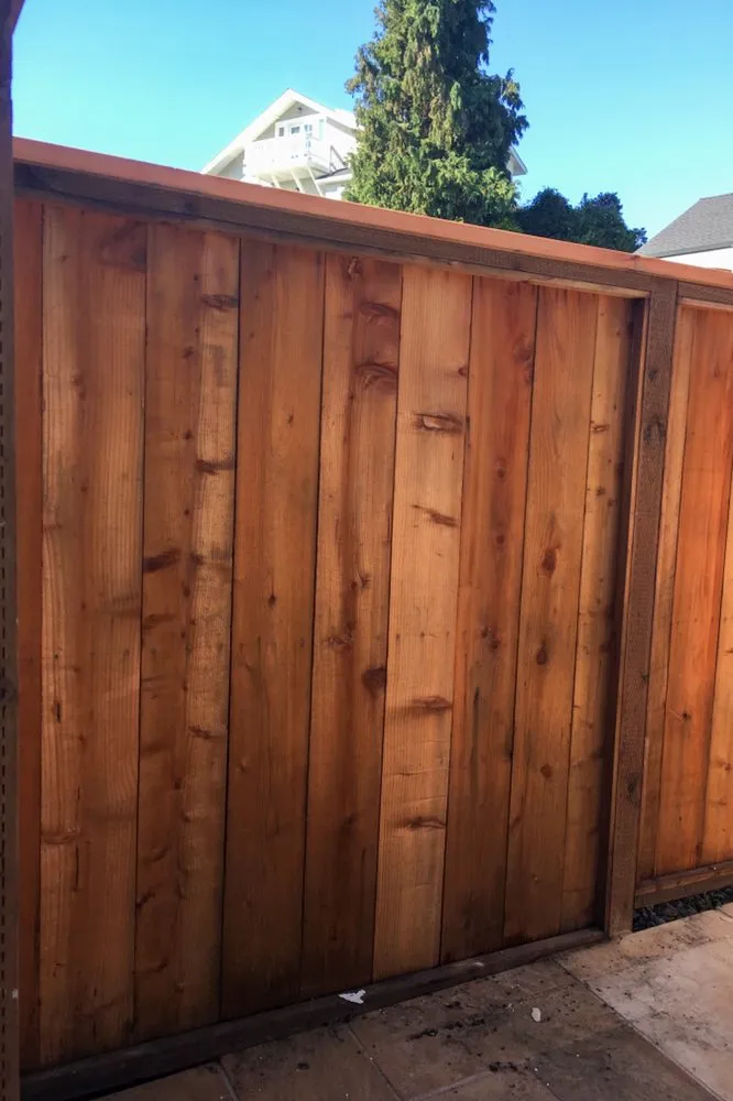 Top-rated lawn care service experts serving San Pablo, CA - T & T Landscaping