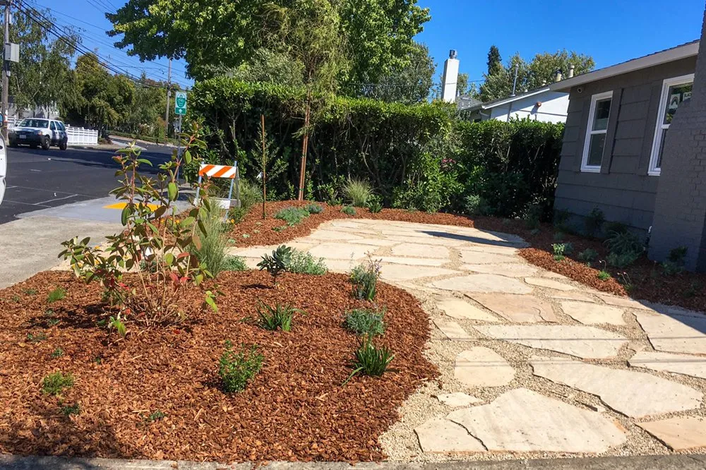 Professional lawn care service in San Pablo, CA - T & T Landscaping