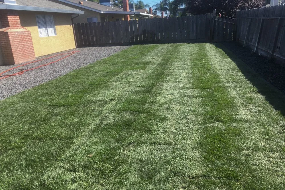 Professional residential landscaping with custom design in San Pablo, CA by T & T Landscaping