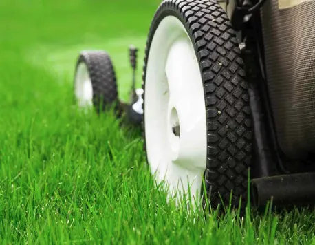 Top-rated lawn care service experts serving Randolph, MA - T & T Landscaping Services