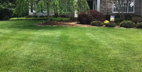 Affordable lawn care service in Randolph, MA by T & T Landscaping Services