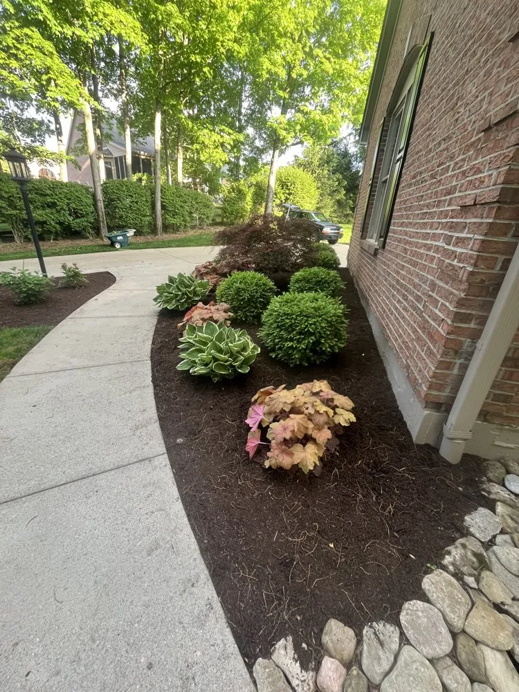 Reliable yard cleanup service in Trenton, OH by T & T Lawn Care