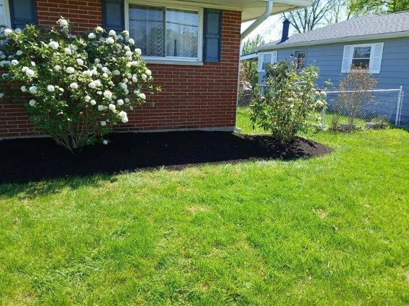 Local yard maintenance for homes in Trenton, OH by T & T Lawn Care