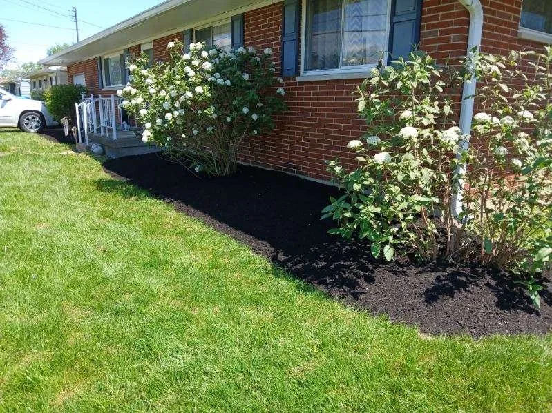 Trusted landscape design for year-round maintenance in Trenton, OH by T & T Lawn Care