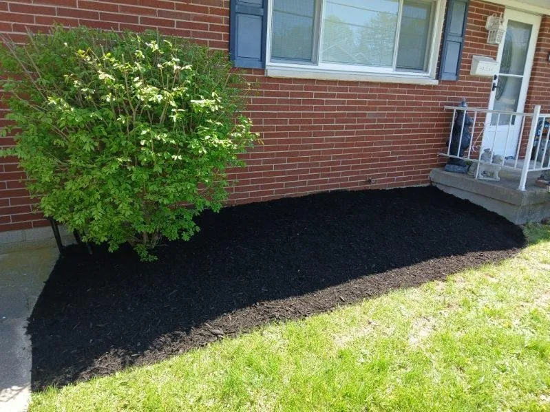 Professional landscaping services for beautiful yards in Trenton, OH by T & T Lawn Care