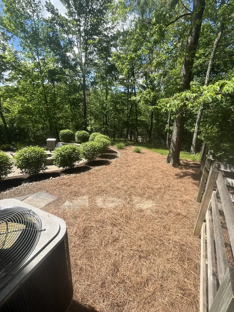 Reliable lawn mowing service near you across Trenton, OH - T & T Lawn Care