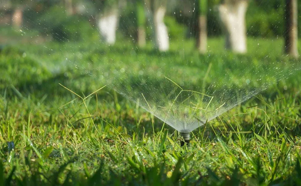 Expert yard cleanup service in Idaho Falls, ID by T & T Lawn Services