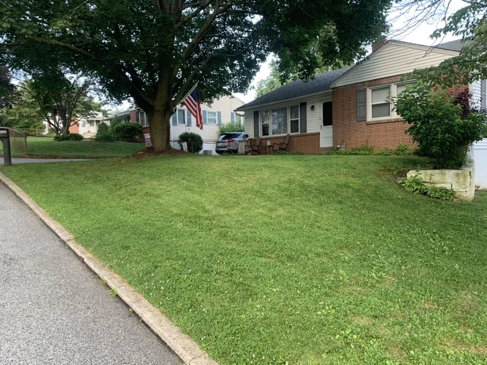 Custom yard cleanup service in Kennett Square, PA - T & T Property care