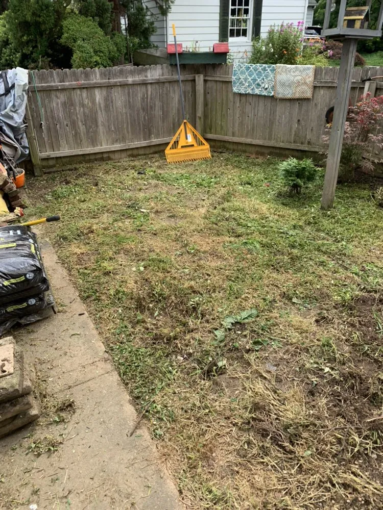 Professional yard cleanup service in Kennett Square, PA - T & T Property care