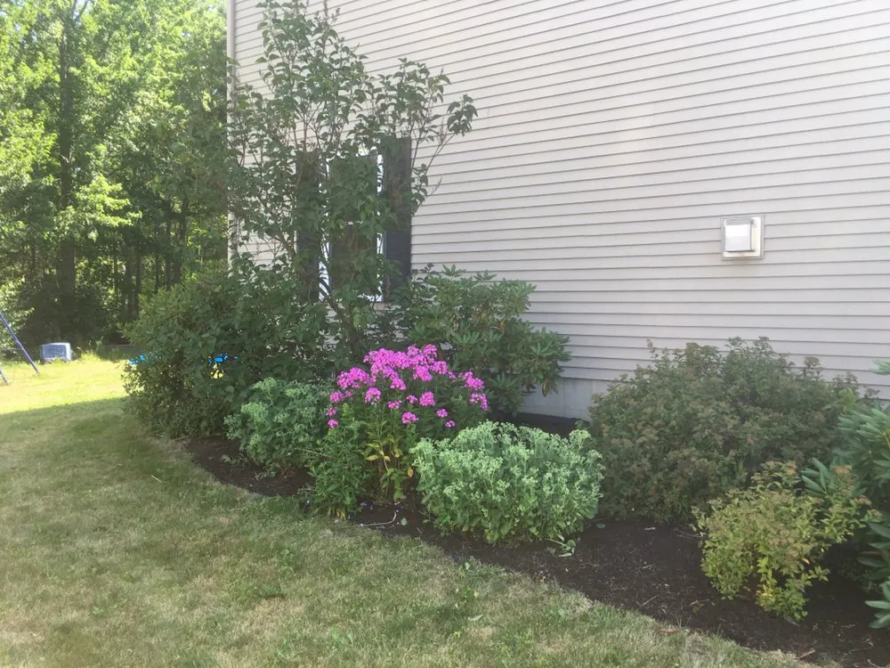 Expert lawn care service for year-round maintenance across Bangor, ME - T & T Property Services