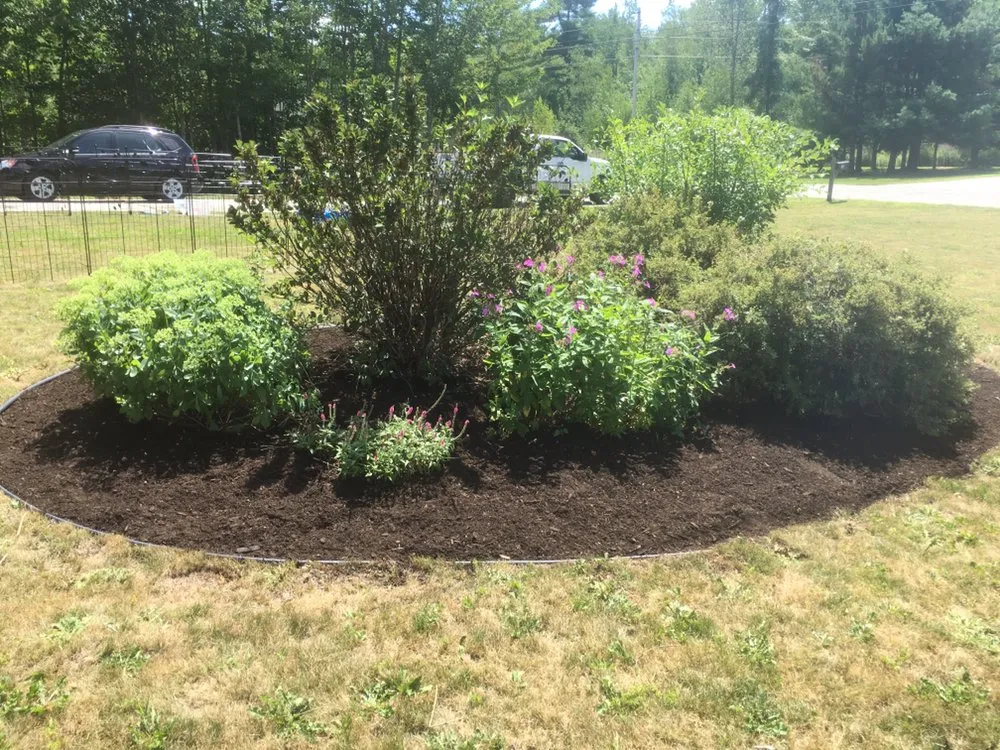 Local yard cleanup service experts serving Bangor, ME - T & T Property Services