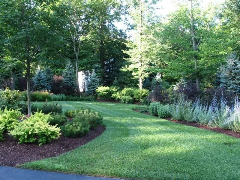 Trusted lawn care service for beautiful yards across Bangor, ME - T & T Property Services