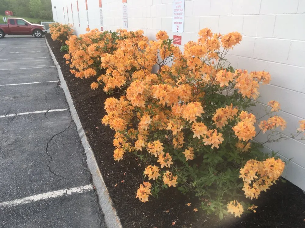 Top-rated residential landscaping for outdoor upgrades in Bangor, ME by T & T Property Services