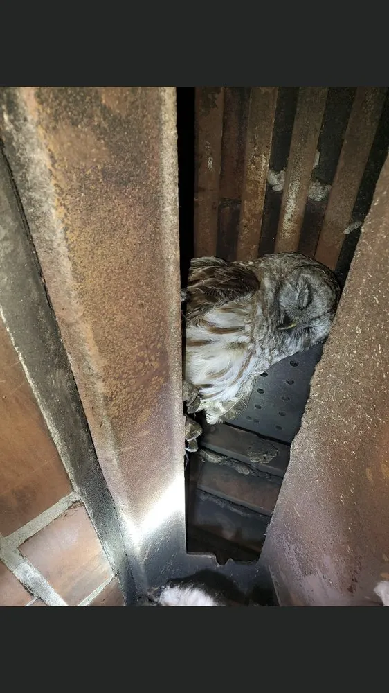 Professional residential landscaping for residential properties across Sanford, ME - T & T