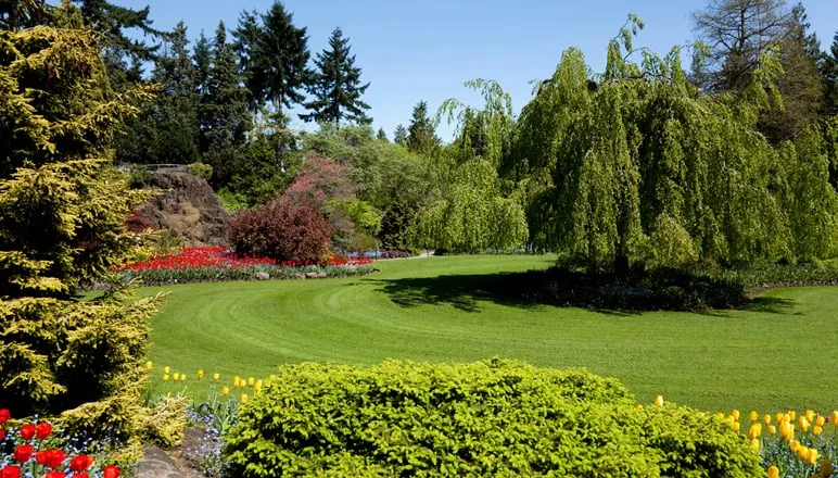 Local lawn mowing service for outdoor upgrades in Grimes, IA by T & T Sprinkler Service, Inc