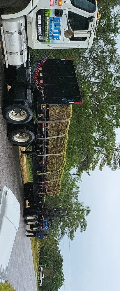 Affordable yard cleanup service for year-round maintenance in Navarre, FL by T & W Landscape Experts