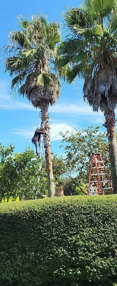 Trusted outdoor landscaping experts serving Navarre, FL - T & W Landscape Experts